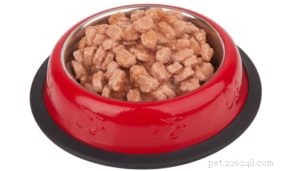 Choosing the Best Dog Food: Why Quality Matters