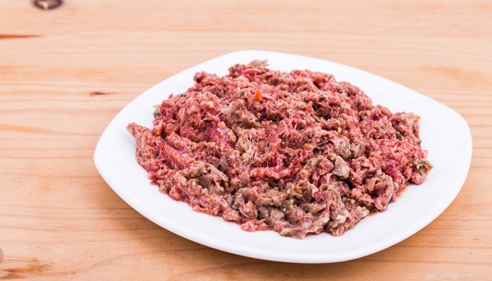 Is a Raw Food Diet Safe for Your Dog? Expert Insights