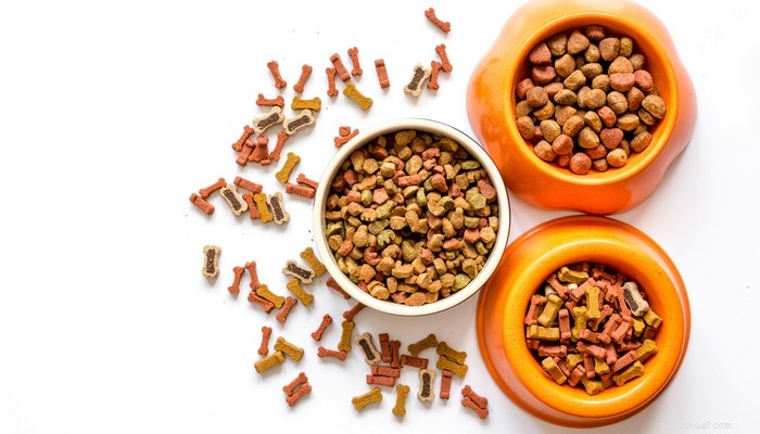 Choosing the Best Dog Food: A Vet‑Backed Guide for Your Furry Friend