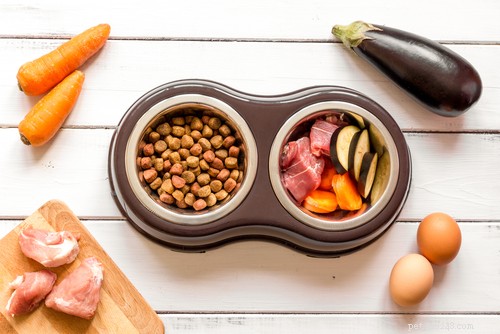 Choosing the Best Dog Food: A Vet‑Backed Guide for Your Furry Friend