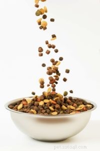 Choosing the Best Dog Food: A Vet‑Backed Guide for Your Furry Friend