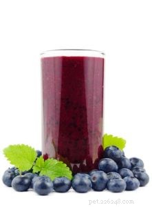 Are Blueberries Safe for Dogs? Proven Benefits & Feeding Tips