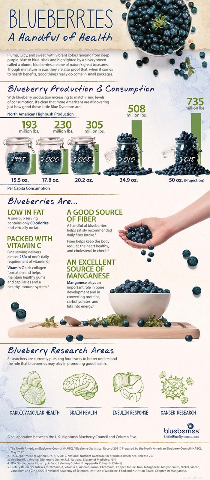 Are Blueberries Safe for Dogs? Proven Benefits & Feeding Tips