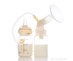 Is Human Breast Milk Safe for Dogs? Understanding Risks and Alternatives