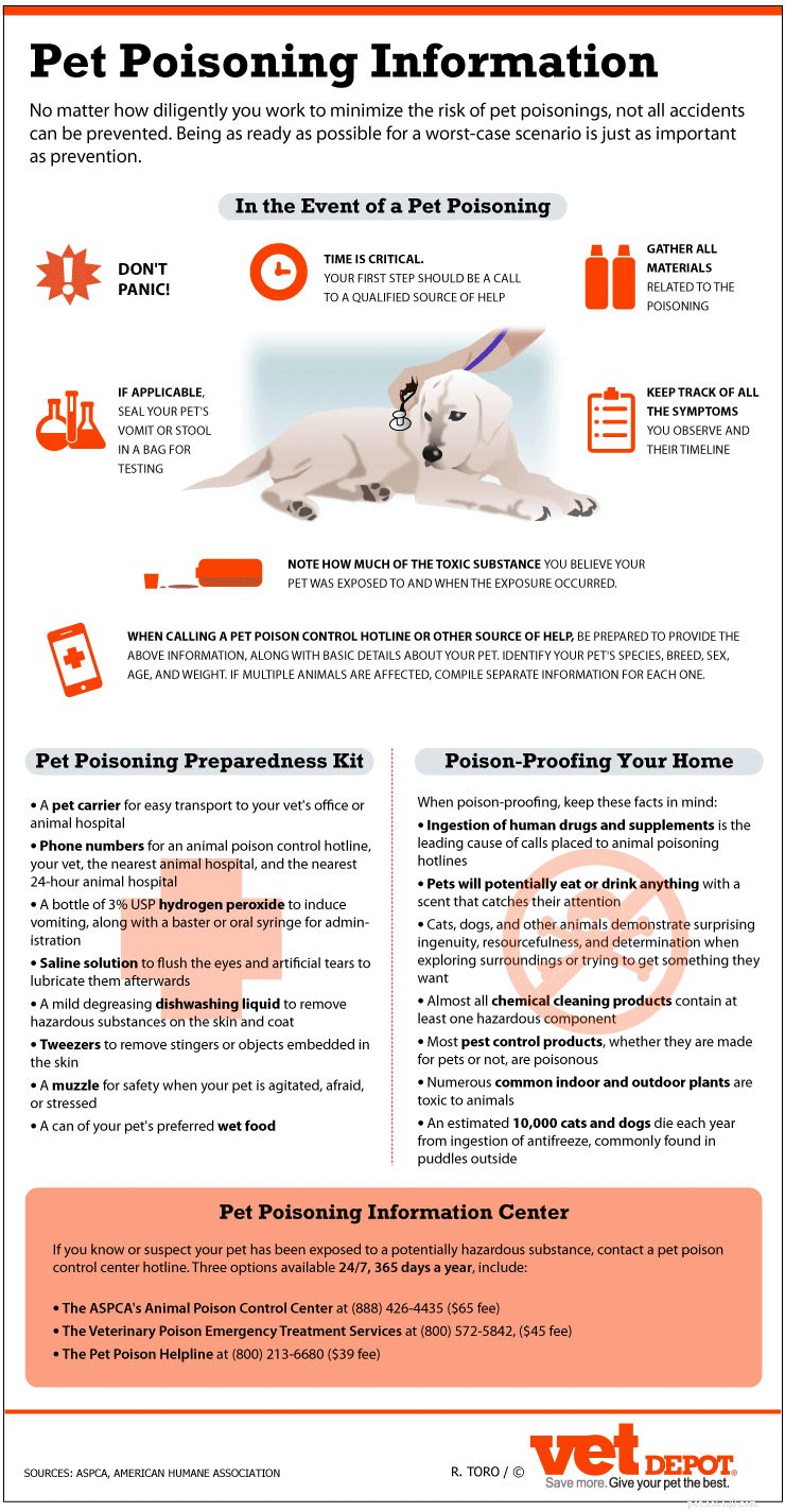 Chocolate: Why It s Toxic to Dogs and What to Avoid