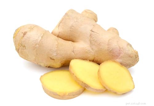 Ginger for Dogs: Safe, Effective, and Health‑Boosting