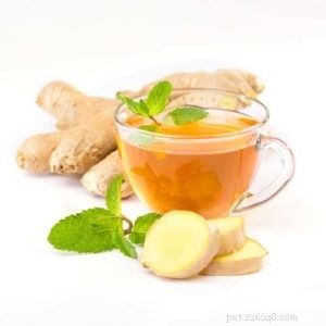 Ginger for Dogs: Safe, Effective, and Health‑Boosting