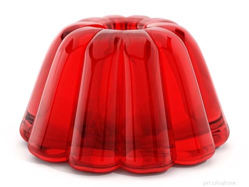 Is Jell-O Safe for Dogs? What You Need to Know
