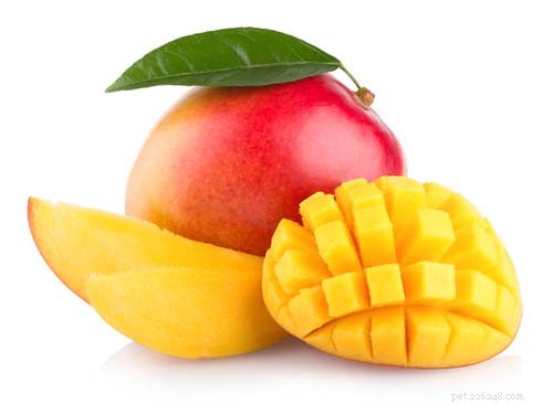 Can Dogs Safely Eat Mango? Benefits, Risks, and Serving Guidelines