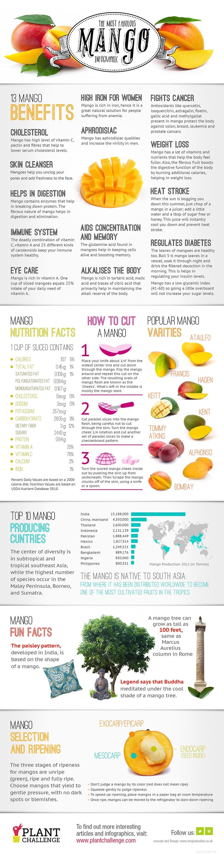 Can Dogs Safely Eat Mango? Benefits, Risks, and Serving Guidelines