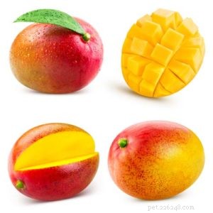 Can Dogs Safely Eat Mango? Benefits, Risks, and Serving Guidelines
