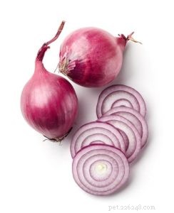 Why Dogs Should Never Eat Onions: The Toxic Truth