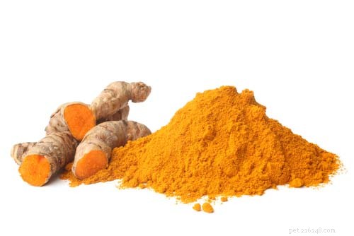 Turmeric for Dogs: Safe Uses, Benefits, and How to Feed Your Pet