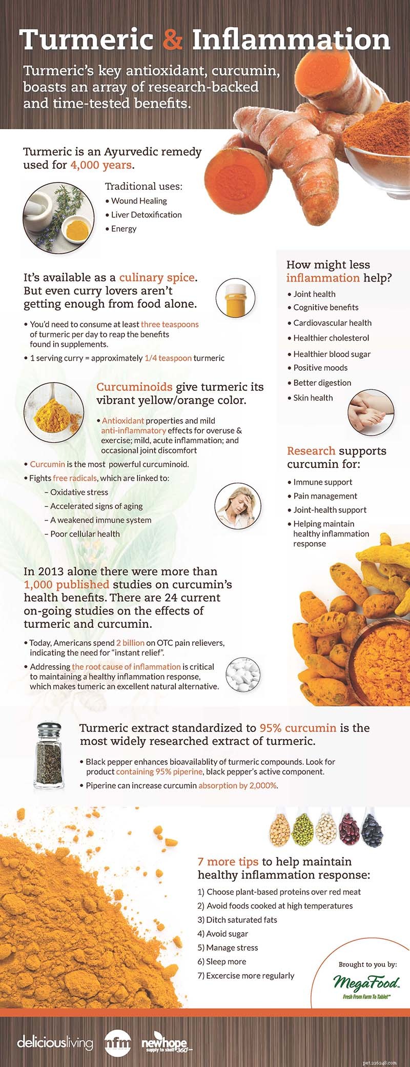 Turmeric for Dogs: Safe Uses, Benefits, and How to Feed Your Pet
