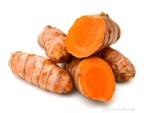 Turmeric for Dogs: Safe Uses, Benefits, and How to Feed Your Pet