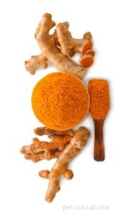 Turmeric for Dogs: Safe Uses, Benefits, and How to Feed Your Pet