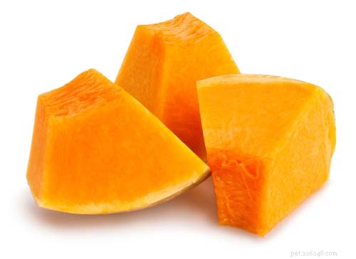 Pumpkin for Dogs: Safe, Nutritious Snack with Zero Side Effects