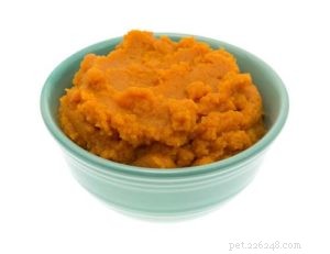 Pumpkin for Dogs: Safe, Nutritious Snack with Zero Side Effects