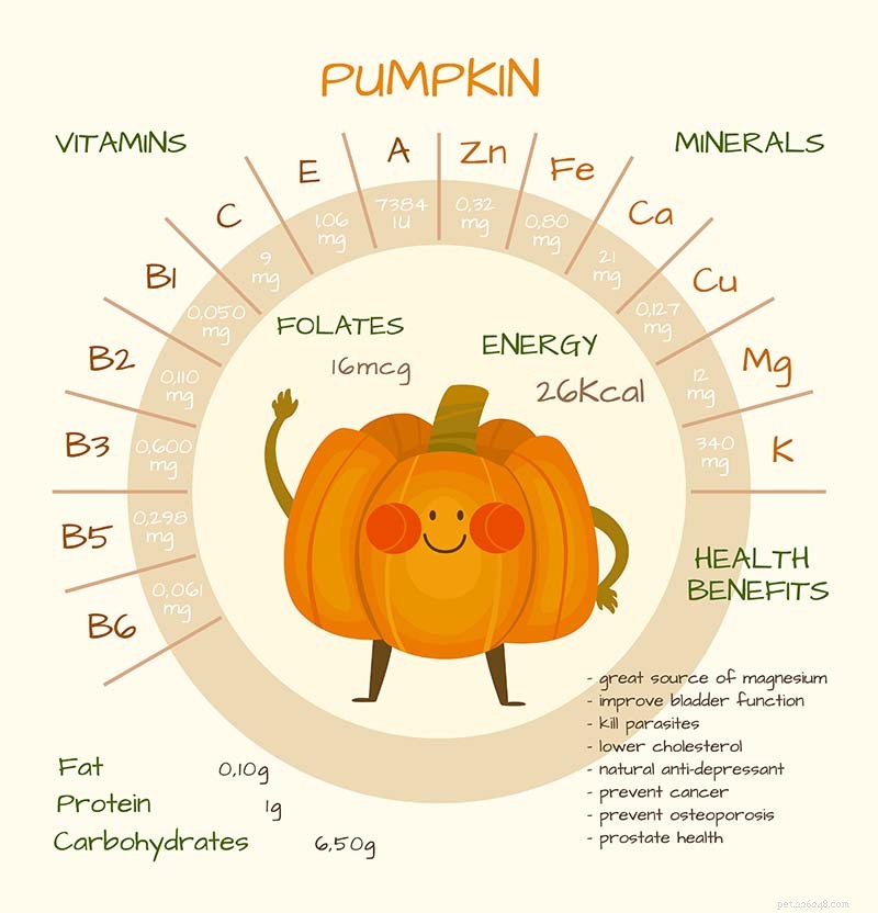 Pumpkin for Dogs: Safe, Nutritious Snack with Zero Side Effects