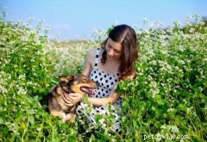 Can Dogs Safely Eat Buckwheat? A Guide to Feeding Your Pup