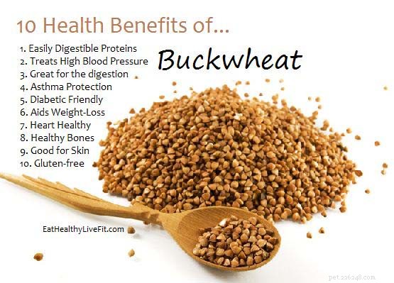 Can Dogs Safely Eat Buckwheat? A Guide to Feeding Your Pup