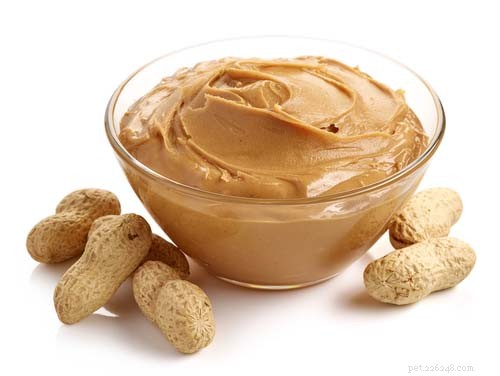 Can Dogs Safely Eat Peanut Butter? A Complete Guide