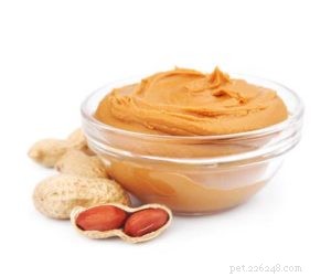 Are Peanuts Safe for Dogs? A Trusted Guide to Benefits and Risks