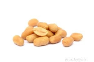 Are Peanuts Safe for Dogs? A Trusted Guide to Benefits and Risks