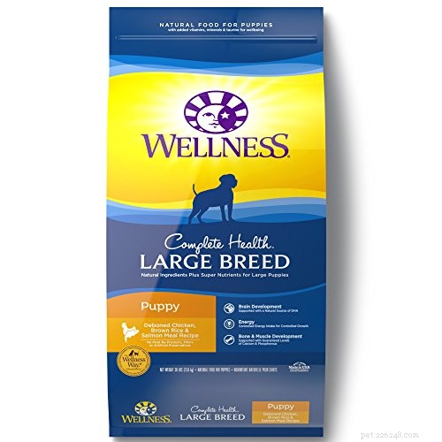 7 Premium Dry Foods Every Puppy Should Eat – Trusted Picks for All Breeds