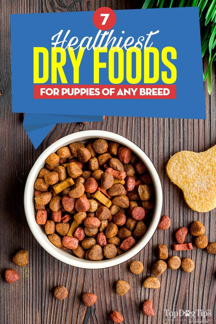 7 Premium Dry Foods Every Puppy Should Eat – Trusted Picks for All Breeds
