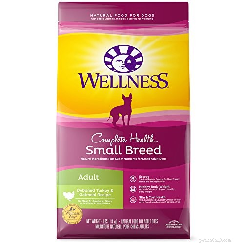 The 10 Best Dog Foods for Small Breeds: Expert‑Approved Nutrition