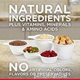 The 10 Best Dog Foods for Small Breeds: Expert‑Approved Nutrition