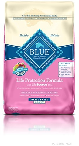 The 10 Best Dog Foods for Small Breeds: Expert‑Approved Nutrition