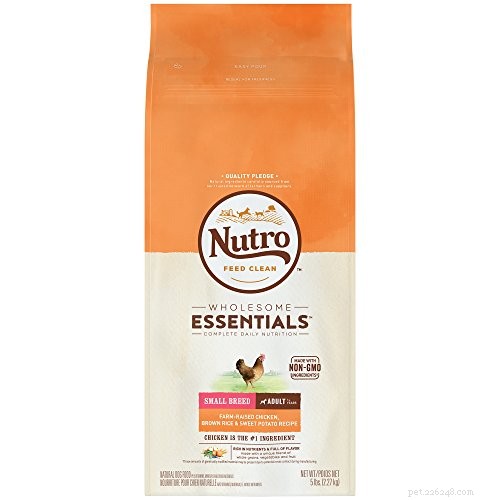 The 10 Best Dog Foods for Small Breeds: Expert‑Approved Nutrition