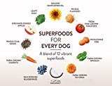 The 10 Best Dog Foods for Small Breeds: Expert‑Approved Nutrition
