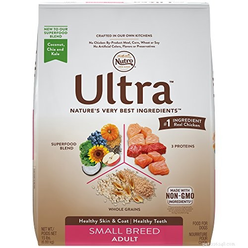 The 10 Best Dog Foods for Small Breeds: Expert‑Approved Nutrition