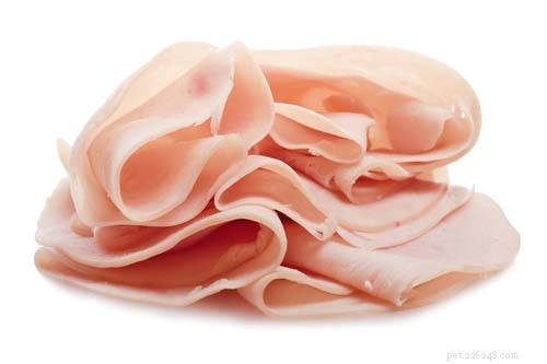 Can Dogs Safely Eat Turkey? Benefits & Tips for Your Pet
