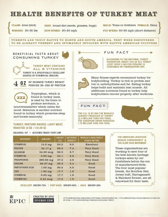 Can Dogs Safely Eat Turkey? Benefits & Tips for Your Pet