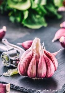 Why Garlic Is Harmful to Dogs