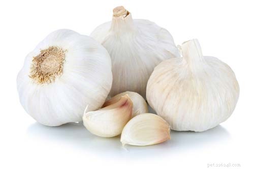 Why Garlic Is Harmful to Dogs