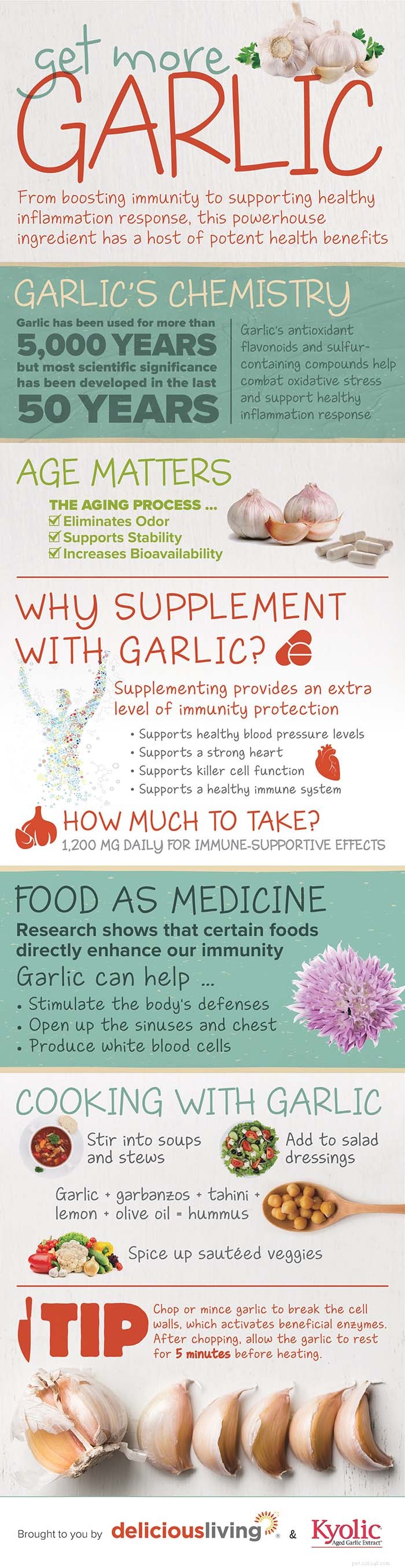 Why Garlic Is Harmful to Dogs