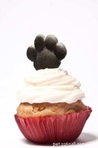 Can Dogs Eat Cake? Why It’s Unsafe and Safer Alternatives