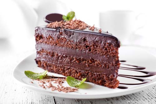 Can Dogs Eat Cake? Why It’s Unsafe and Safer Alternatives