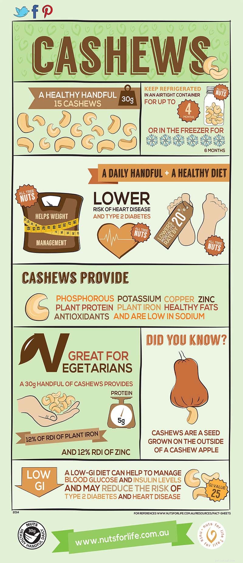 Are Cashews Safe for Dogs? Vet-Approved Insights