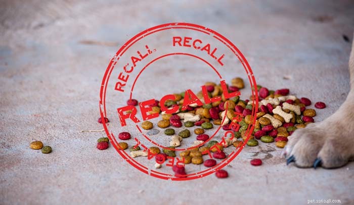 Dog Food Recall: What It Means & How to Protect Your Pet