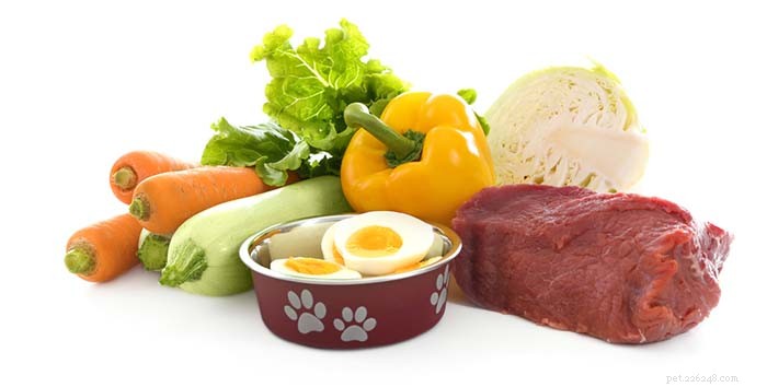 Best Feeding Strategies for Dogs with Arthritis