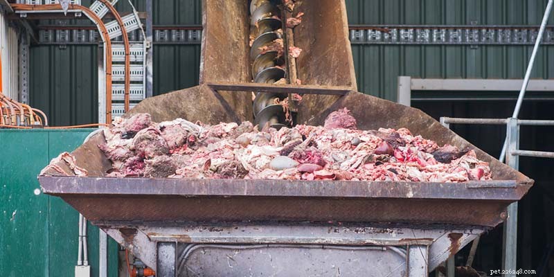 How Dog Food Fuels Common Health Issues: 3 Key Diseases to Watch