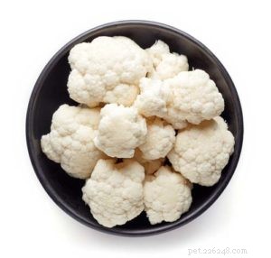 16 Safe Human Foods to Boost Your Dog’s Health