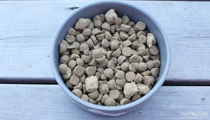 Stella & Chewy s Raw Blend Dog Food: An Expert Review