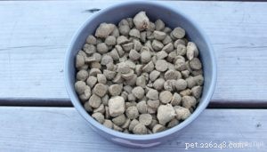 Stella & Chewy s Raw Blend Dog Food: An Expert Review